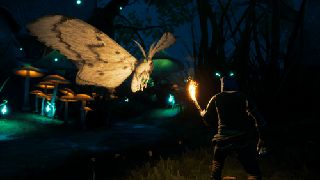 Smalland: Survive the Wilds / PlayStation 5-thumb-2