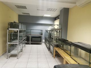 ΔΙΑΦΟΡΑ ΕΝΥΔΡΕΙΑ-thumb-12