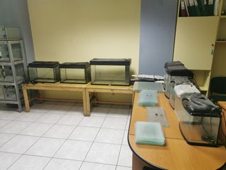 ΔΙΑΦΟΡΑ ΕΝΥΔΡΕΙΑ-thumb-13