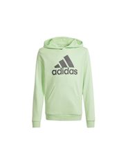 Adidas Big Logo Hoodie Jr IS2591 sweatshirt