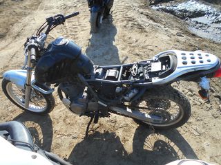 SUZUKI XF 650 FREEWIND -thumb-8