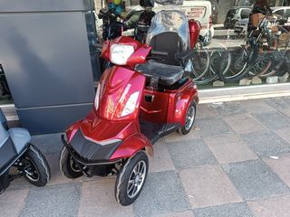 Daytona 2025 VIGOROUS T408-4-thumb-1