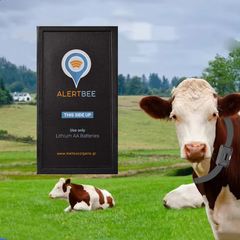 AlertBee Gps Tracker για Αγελάδες και ζώα|Βοοειδή-κατσίκια-γίδια-πρόβατα  Συσκευή εντοπισμού ζώων