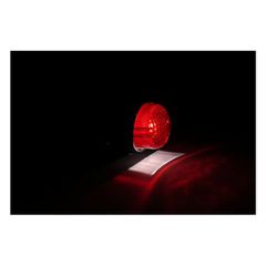 Texas taillight chrome-thumb-1