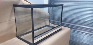 Γυάλινο Terrarium-thumb-2