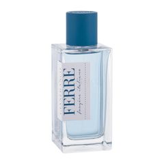 Gianfranco Ferre Fougere Italiano Eau de Toilette 100ml(Tester)