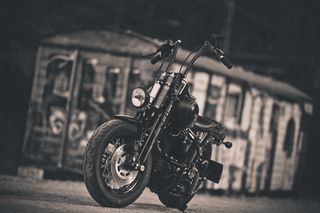Harley Davidson Softail Cross Bones '09 Springer