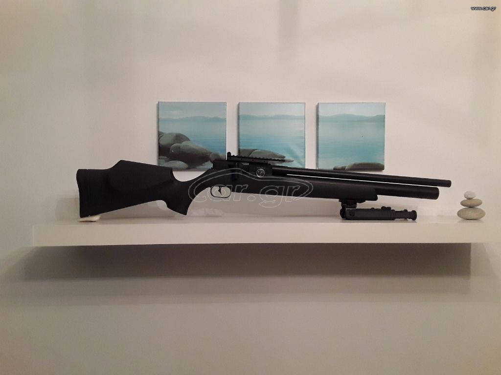 FX Dreamline Clasic  22 cal.
