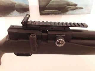 FX Dreamline Clasic  22 cal.-thumb-5