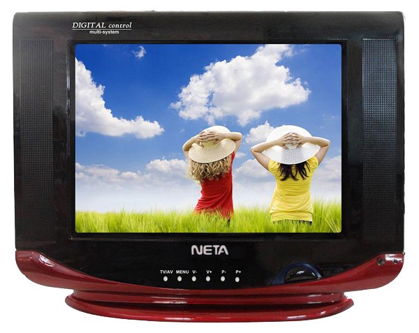 NETA 17T5 17" CRT TV