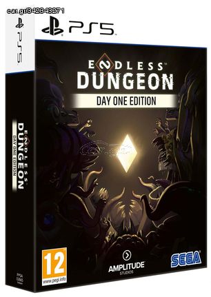 ENDLESS Dungeon Day One Edition PS5