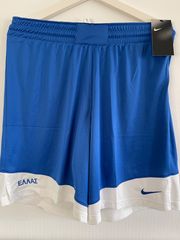 Εθνική Ελλάδος Μπάσκετ Σορτς Nike Limited Edition Αντρικό Basketball Shorts Large 