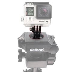 Sports camera mount with GoPro tripod mount