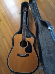 Takamine FP360SC