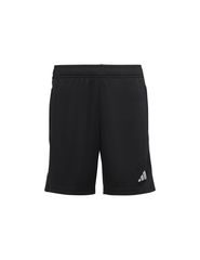 Adidas Tiro 23 Jr HS3623 shorts