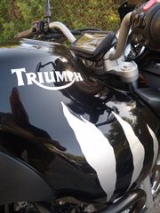 Triumph Tiger 955i '05