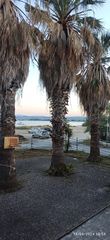 3 Φοίνικες 30-35 ετών-thumb-1