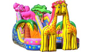 Ενοικίαση Φουσκωτά παιχνίδια, φουσκωτά τσουλήθρες, φουσκωτά τραμπολίνο. AQ2007