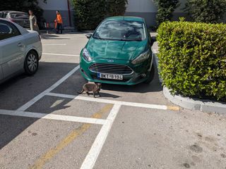 Ford Fiesta 2015 1.5 TDCi Trend-thumb-1