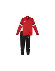 Puma Team Rise M tracksuit 658653 01