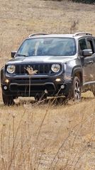 Jeep Renegade '20 Trailhawk