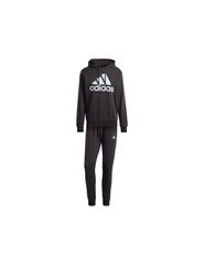 adidas Big Logo Terry Track Suit M IJ8555