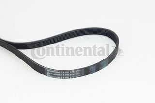 CONTITECH ΙΜΑΝΤΑΣ POLY-V CITROEN CONTINENTAL CTAM 6PK976