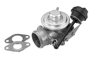 WAHLER ΒΑΛΒΙΔΑ EGR BorgWarner (Wahler) 7301D/1