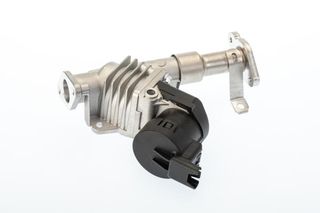 WAHLER ΒΑΛΒΙΔΑ EGR BorgWarner (Wahler) 7574D/1