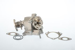 WAHLER ΒΑΛΒΙΔΑ EGR BorgWarner (Wahler) 7631D/1
