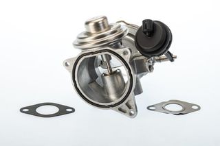WAHLER ΒΑΛΒΙΔΑ EGR BorgWarner (Wahler) 7650D/1