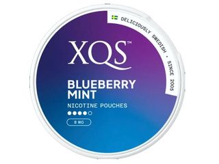 XQS Φακελάκια Νικοτίνης BLUEBERRY MINT Strong 20 8mg Νικοτίνη (Made in Sweden) 8720400633876