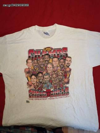 Chicago bulls championship t-shirt original