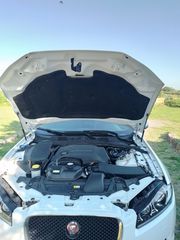 Jaguar XF 2015 3.0 DIESEL ΑΓΡΟΤΙΚΟ-ΕΠΑΓΓΕΛΜΑΤΙΚΟ-thumb-8