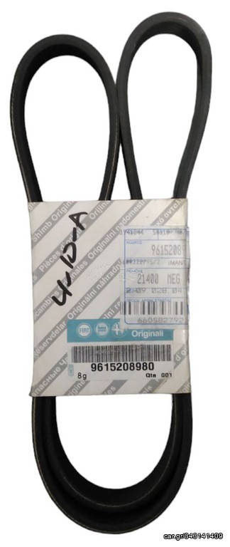 Hutchinson Ploy.V Ιμάντας Δυναμό C 6PK1094