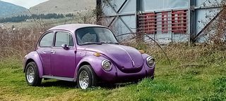 Volkswagen Beetle '74 1303
