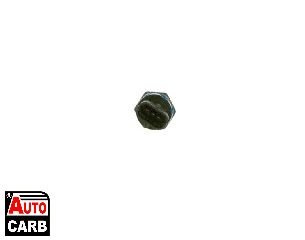 Αισθητηρας Πιεση Καυσιμου BOSCH 0281006188 για NISSAN INTERSTAR 2002-, NISSAN PRIMASTAR 2001-, RENAULT ESPACE 2002-