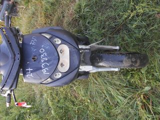 PIAGGIO BEVERLY 250I-thumb-8