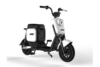Roller/Scooter 2024  Q3 1000 W 48 V 30 AH