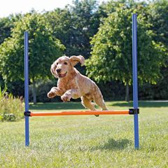 Εμπόδιο για Σκύλους Trixie Agility, Διαστάσεων:123x115 cm  Μπλε/Πορτοκαλί