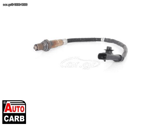 Αισθητήρας Λάμδα BOSCH 0258006295 για RENAULT MEGANE 1995-2008, RENAULT Megane 2000-2003, RENAULT MEGANE 1996-2012