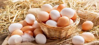 Τα Αυγά μας    Αυγά Φρέσκα Πλουσια σε Ωμέγα-3 λιπαρά  οξέα  κατά 8 με 10 φορές από ότι τα κανονικά αυγά και περιέχουν 4 με 5 φορές περισσότερη βιταμίνη Ε 
