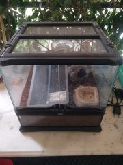 TERRARIUM ΜΕΤΑΧΕΙΡΙΣΜΈΝΟ 