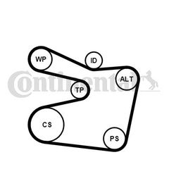 CONTITECH ΣΕΤ ΙΜΑΝΤΑ POLY-V CONTINENTAL CTAM 6PK1555K2