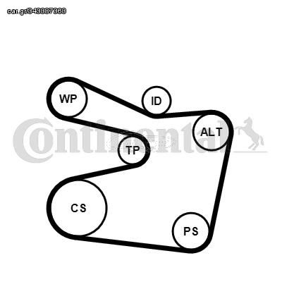 CONTITECH ΣΕΤ ΙΜΑΝΤΑ POLY-V CONTINENTAL CTAM 6PK1555K2