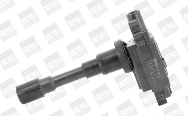 BERU ΠΟΛΛΑΠΛΑΣΙΑΣΤΗΣ BorgWarner (BERU) ZSE181
