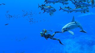 Endless Ocean Luminous / Nintendo Switch-thumb-2