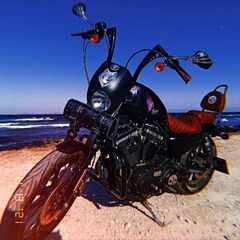 Harley Davidson Iron 883 '15