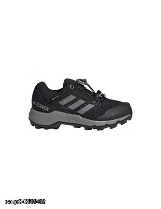 Adidas Terrex GTX K Jr IF7519 shoes