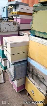  Κυψέλες μελισσών ξύλινες 
